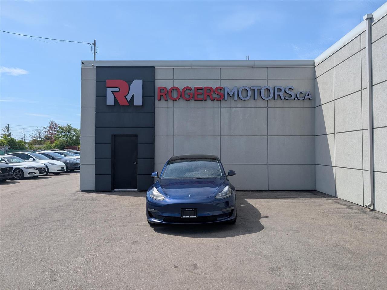 2023 Tesla Model 3 STANDARD Photo