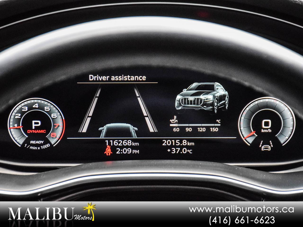 2022 Audi Q8 Progressiv Photo