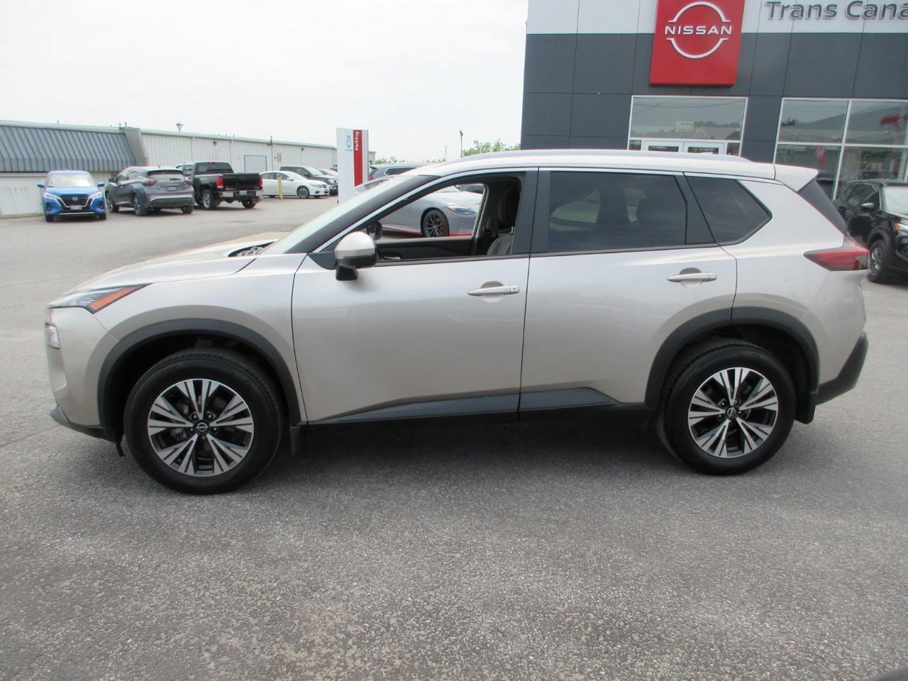 2023 Nissan Rogue  Photo