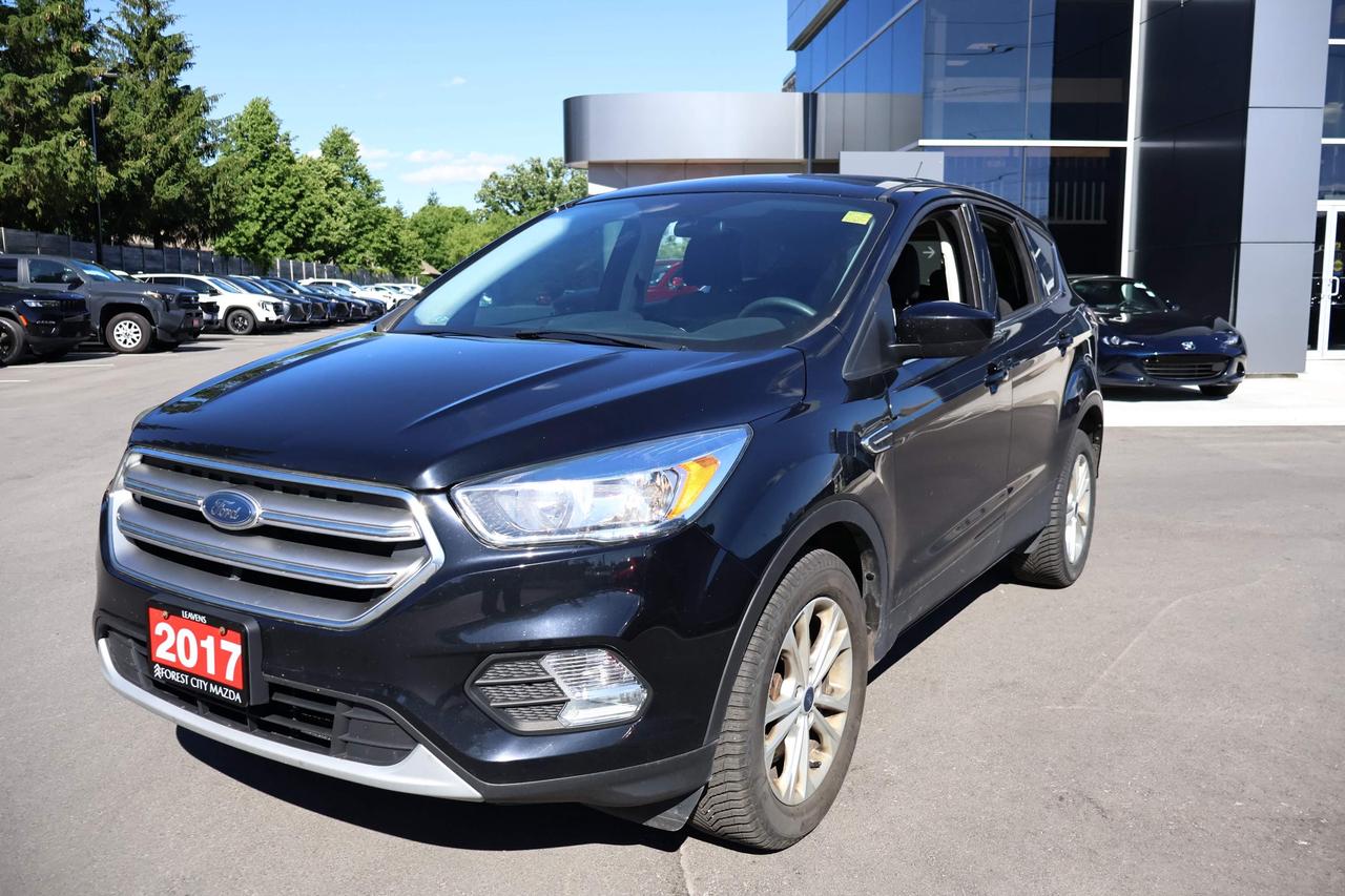 2017 Ford Escape SE Photo