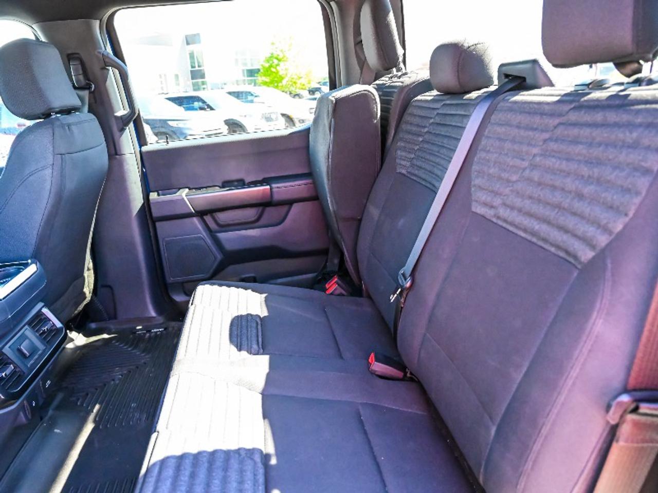 2023 Ford F-150 XL Photo