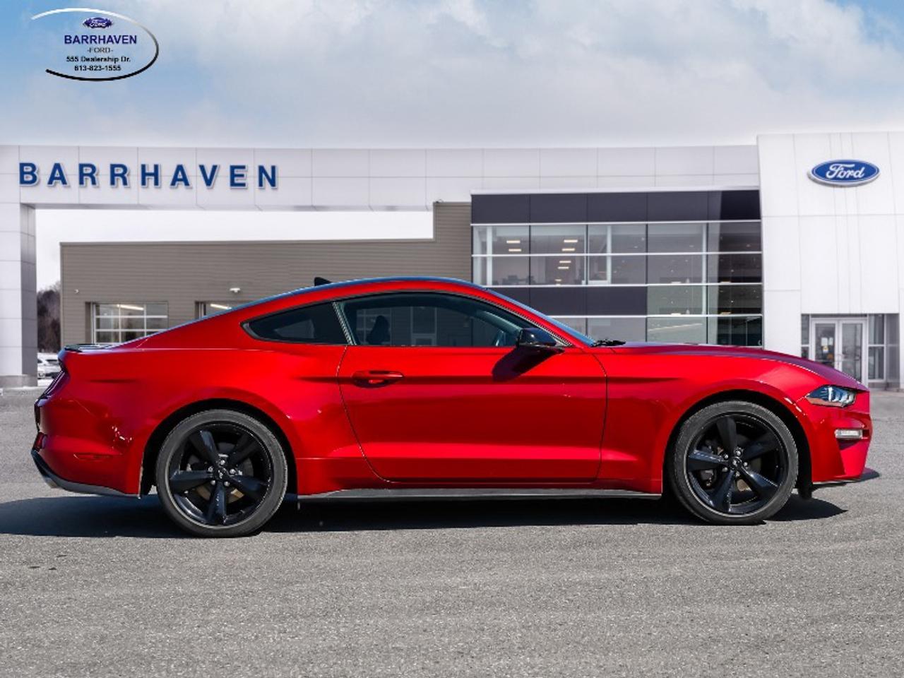 2021 Ford Mustang EcoBoost Premium Photo