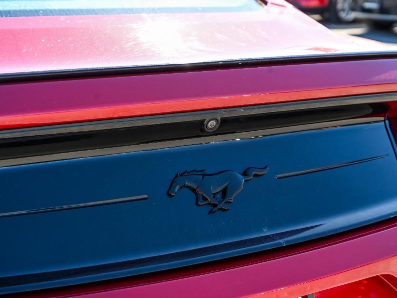 2021 Ford Mustang EcoBoost Premium Photo