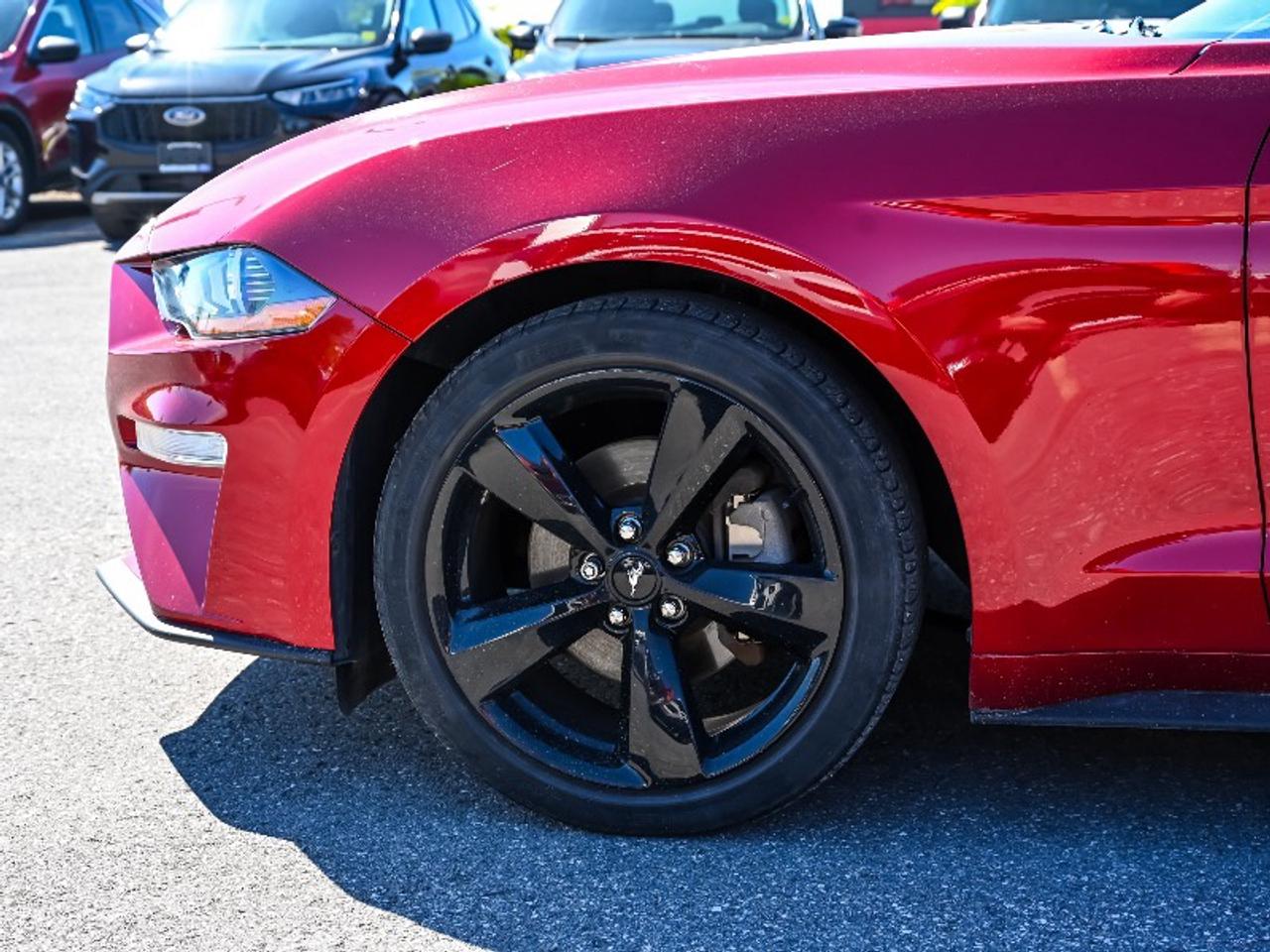 2021 Ford Mustang EcoBoost Premium Photo