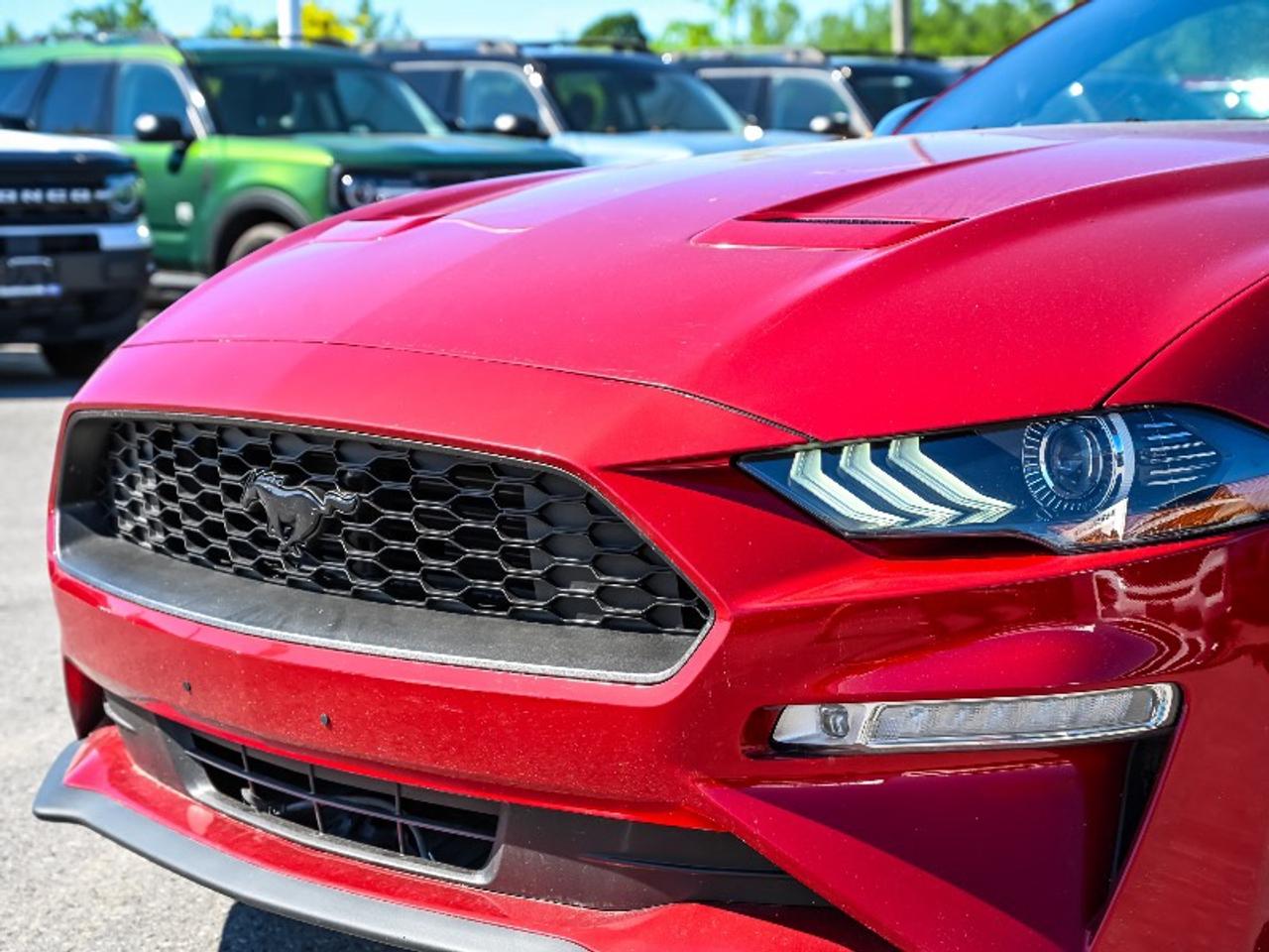 2021 Ford Mustang EcoBoost Premium Photo