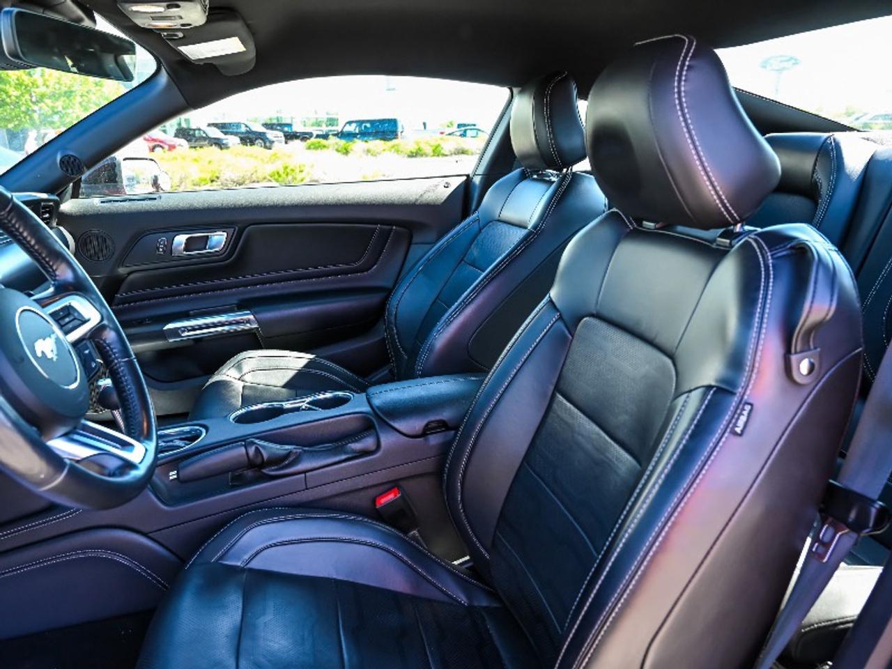 2021 Ford Mustang EcoBoost Premium Photo