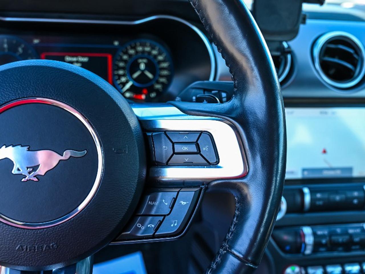2021 Ford Mustang EcoBoost Premium Photo