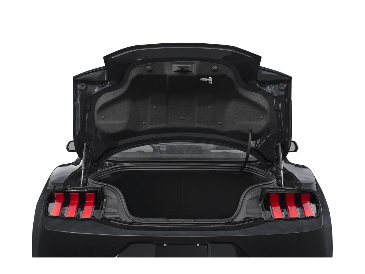EcoBoost Premium Fastback