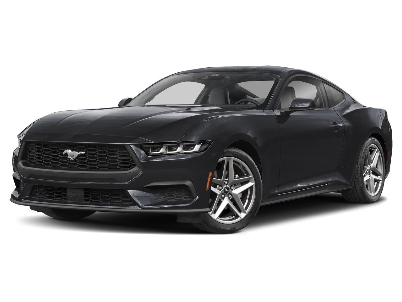 EcoBoost Fastback