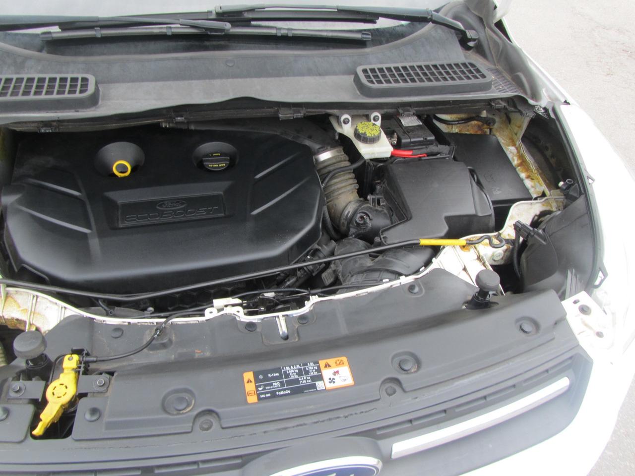 2014 Ford Escape 4WD 4dr SE Photo