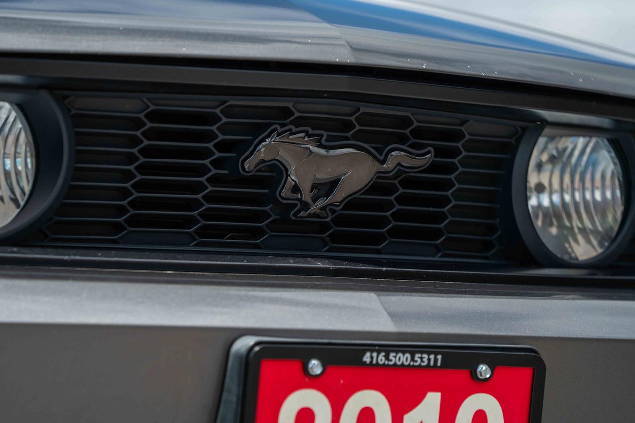 2010 Ford Mustang GT Photo