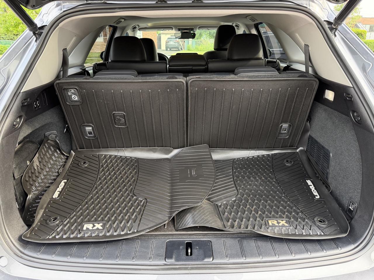 2020 Lexus RX RX 350L Auto Photo