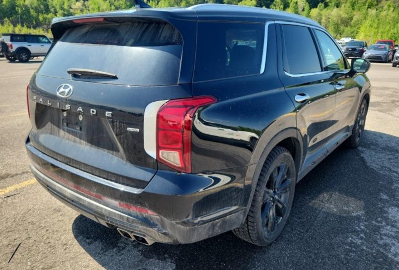 2023 Hyundai PALISADE Urban AWD | Leather | Sunroof | Cooled + Heated Seats | Heated Wheel | 360 Camera | Nav | and More ! Photo