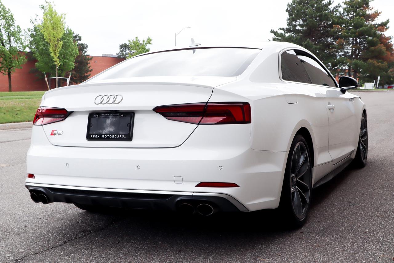 2019 Audi S5  Photo