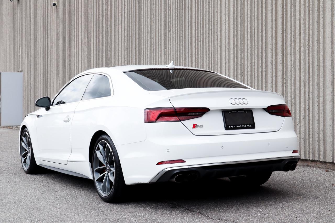 2019 Audi S5  Photo