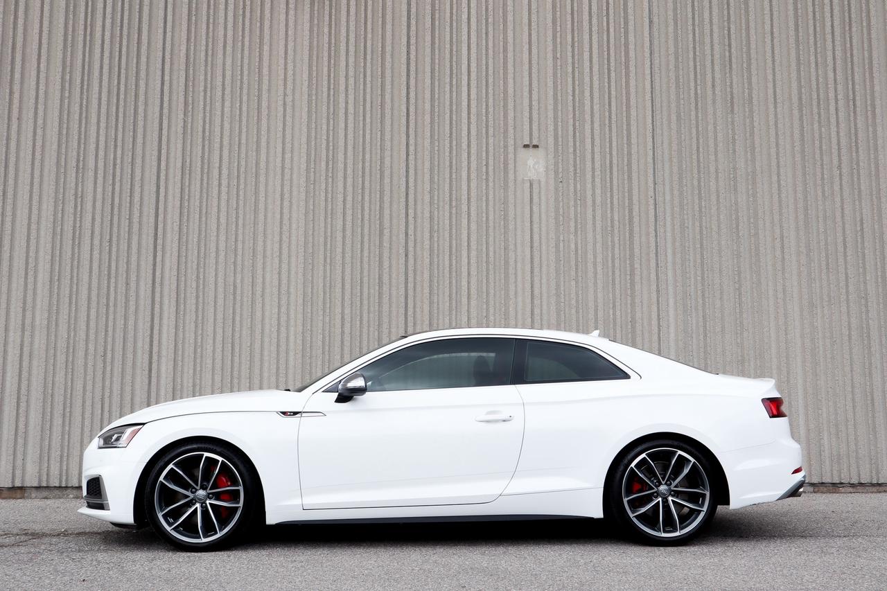 2019 Audi S5  Photo
