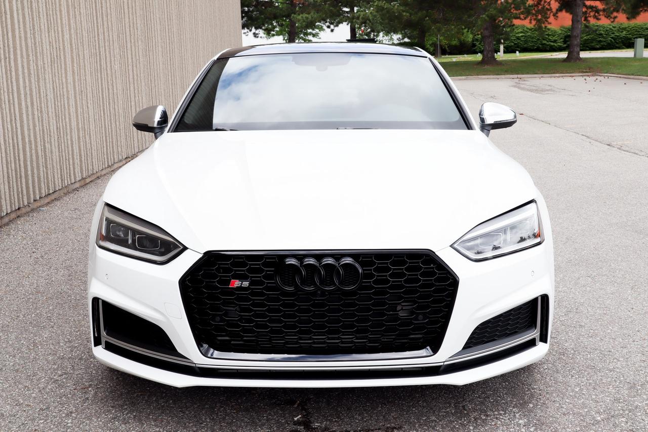 2019 Audi S5  Photo