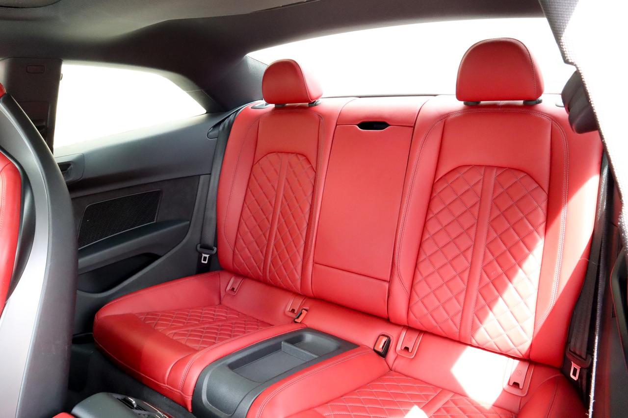 2019 Audi S5  Photo