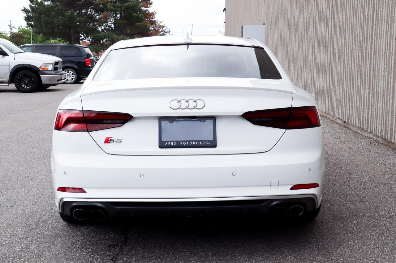 2019 Audi S5  Photo