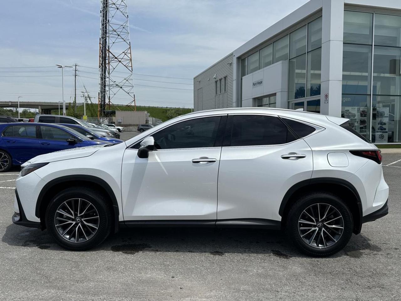 2025 Lexus NX 350 Photo