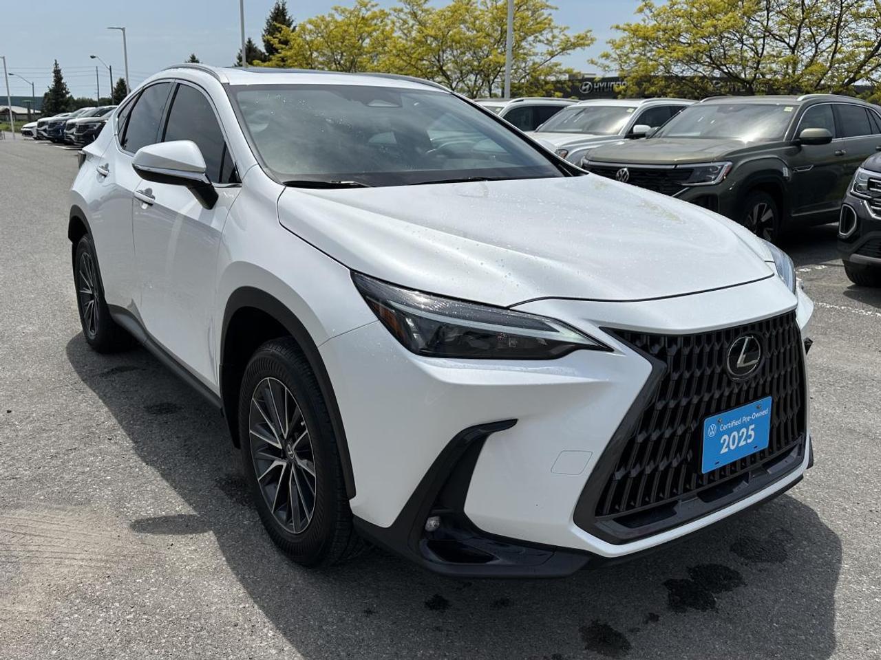 2025 Lexus NX 350 Photo