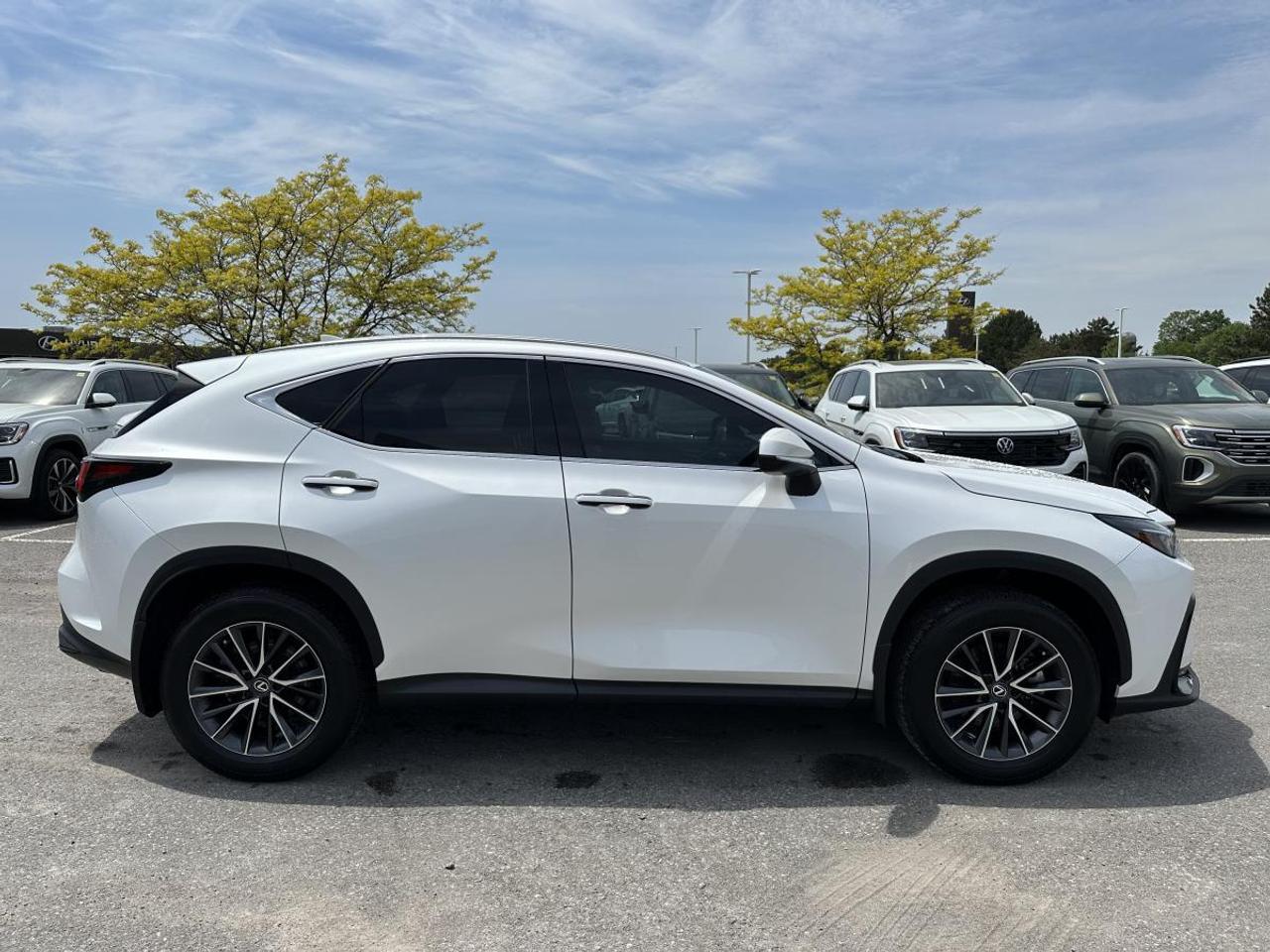 2025 Lexus NX 350 Photo