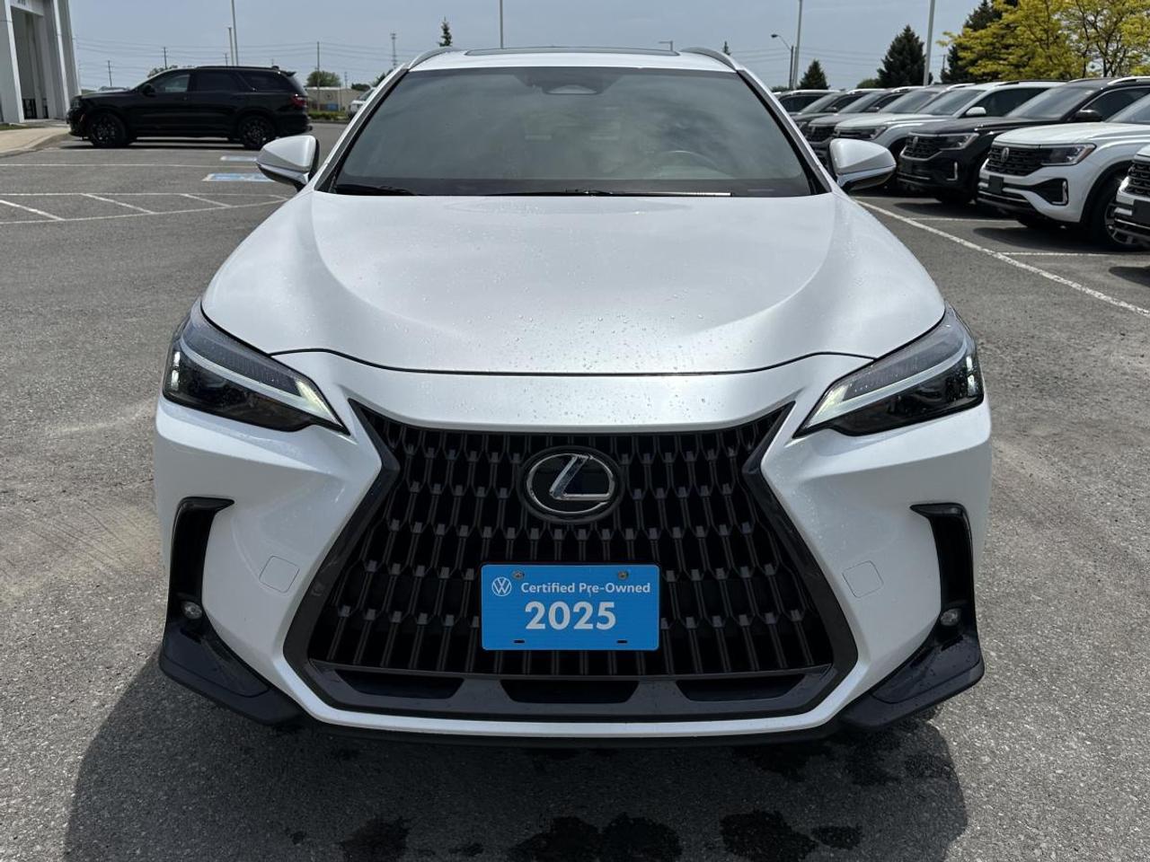 2025 Lexus NX 350 Photo
