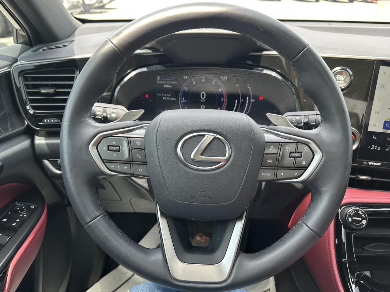 2025 Lexus NX 350 Photo