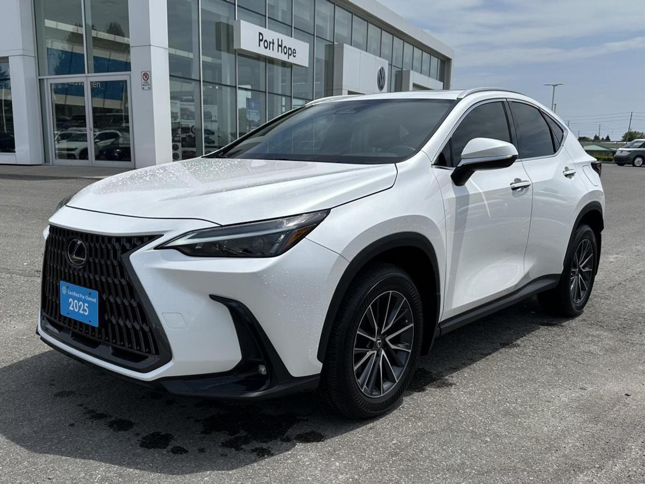 2025 Lexus NX 350 Photo