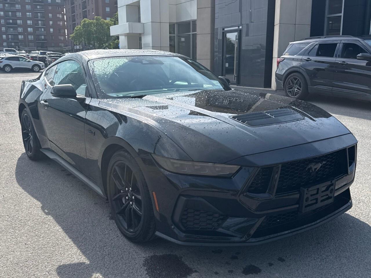 2024 Ford Mustang GT PREMIUM   NITE PONY PKG   ACTIVE VALVE ASSIST Photo