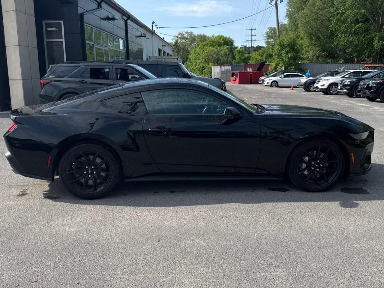 2024 Ford Mustang GT PREMIUM   NITE PONY PKG   ACTIVE VALVE ASSIST Photo