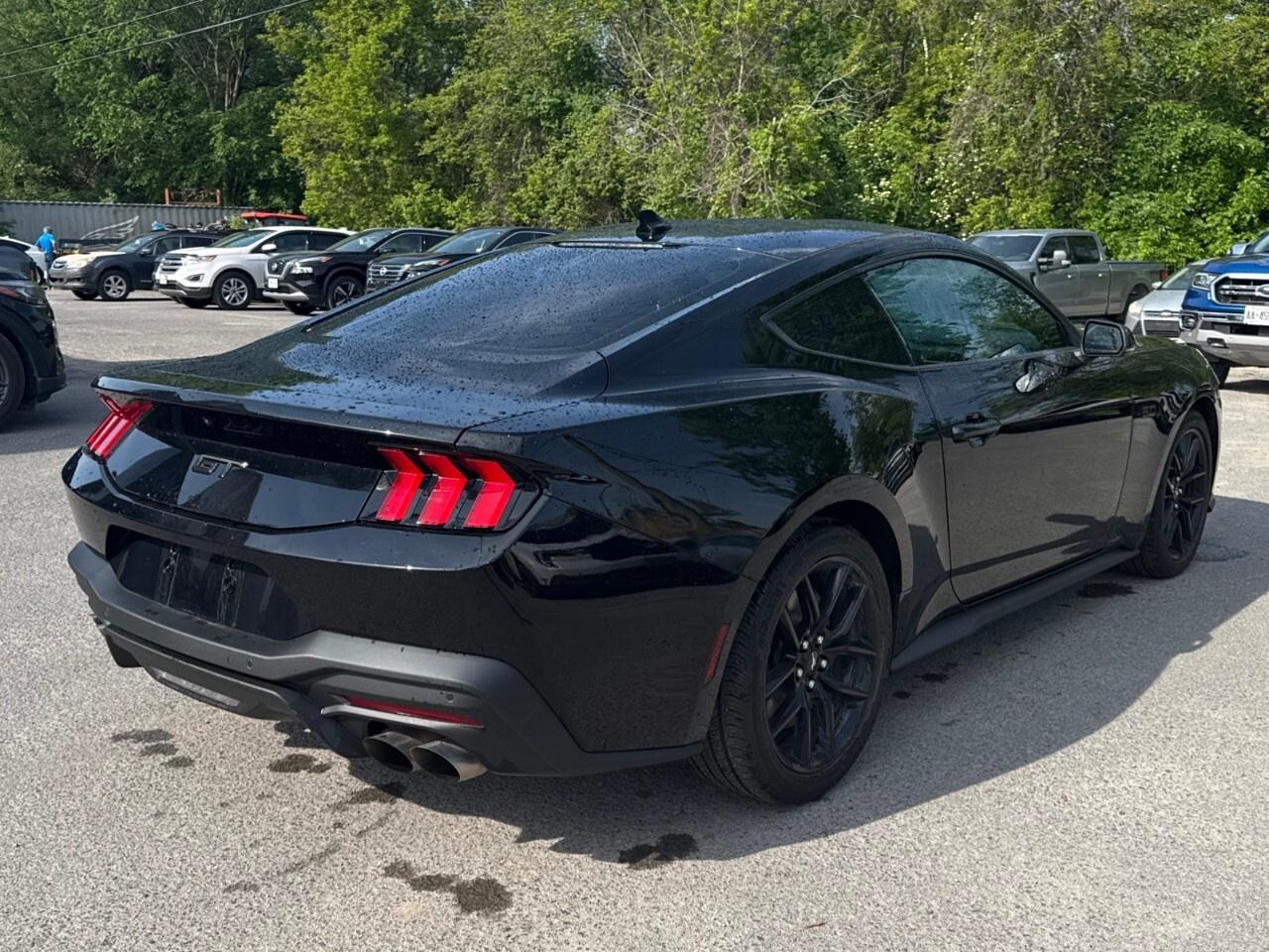 2024 Ford Mustang GT PREMIUM   NITE PONY PKG   ACTIVE VALVE ASSIST Photo4