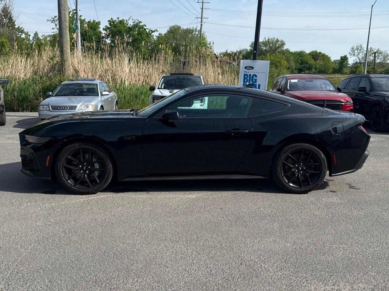 2024 Ford Mustang GT PREMIUM   NITE PONY PKG   ACTIVE VALVE ASSIST Photo