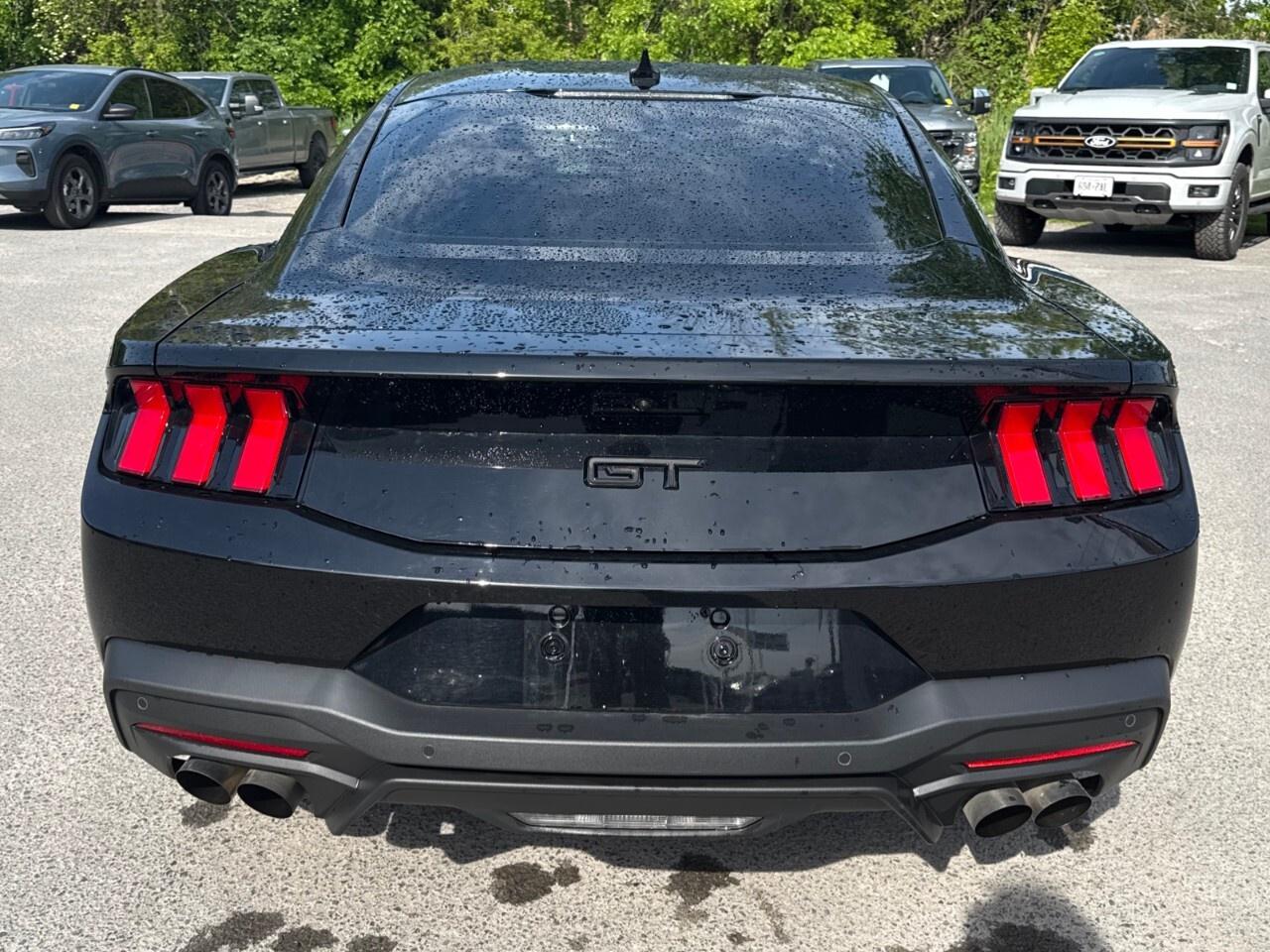 2024 Ford Mustang GT PREMIUM   NITE PONY PKG   ACTIVE VALVE ASSIST Photo