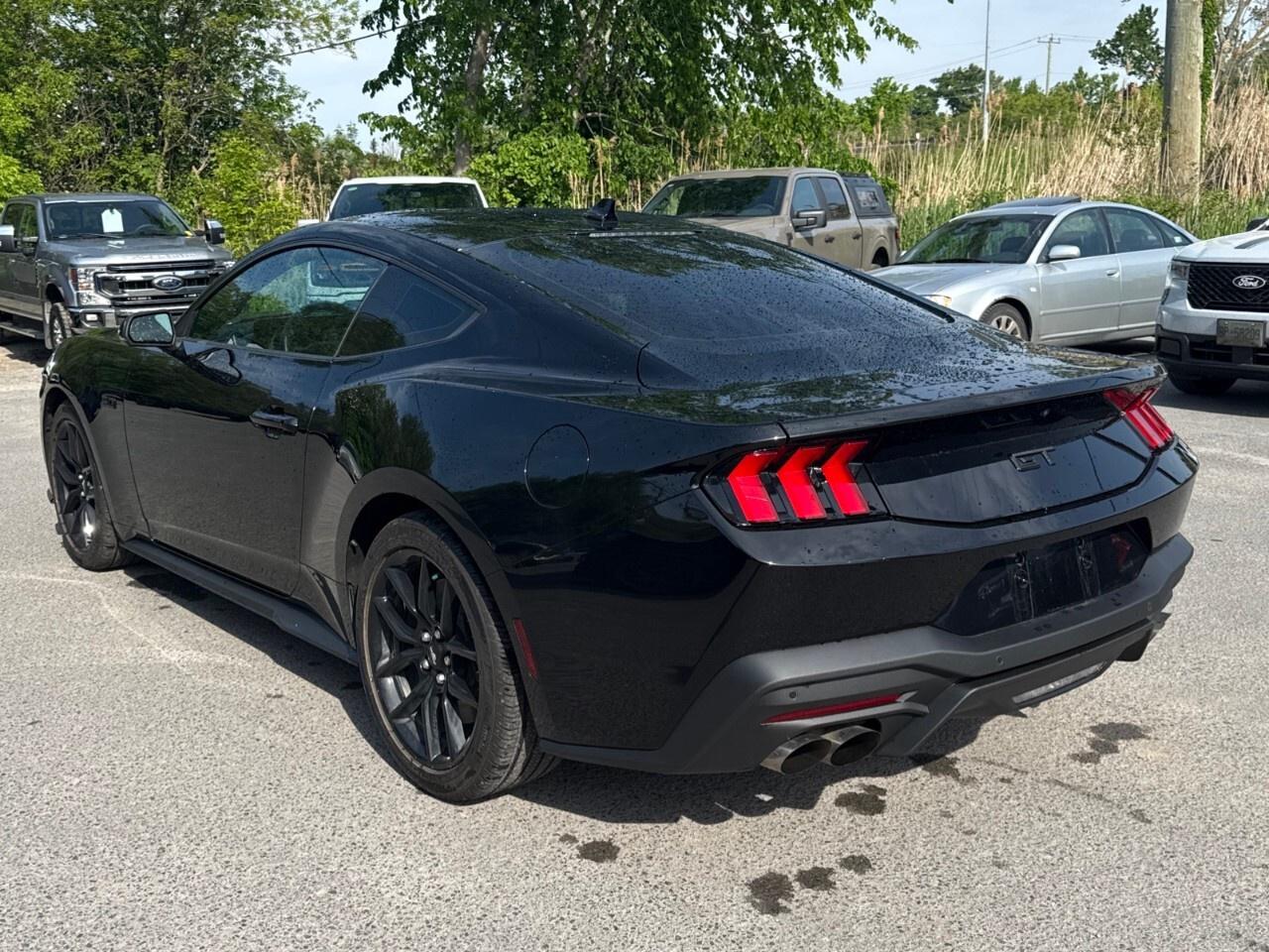 2024 Ford Mustang GT PREMIUM   NITE PONY PKG   ACTIVE VALVE ASSIST Photo