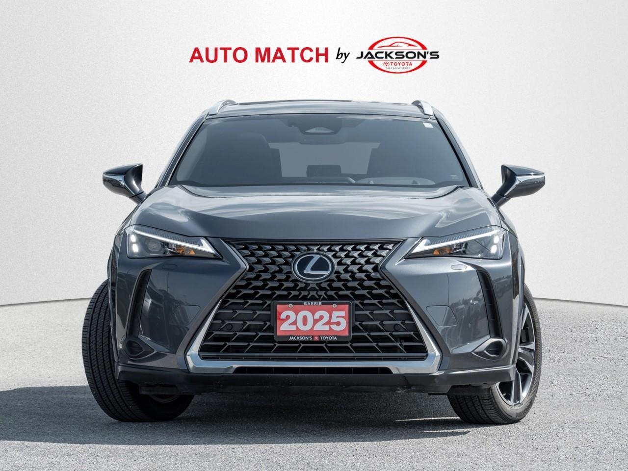 2025 Lexus UX 300H Base 4dr All-Wheel Drive Photo