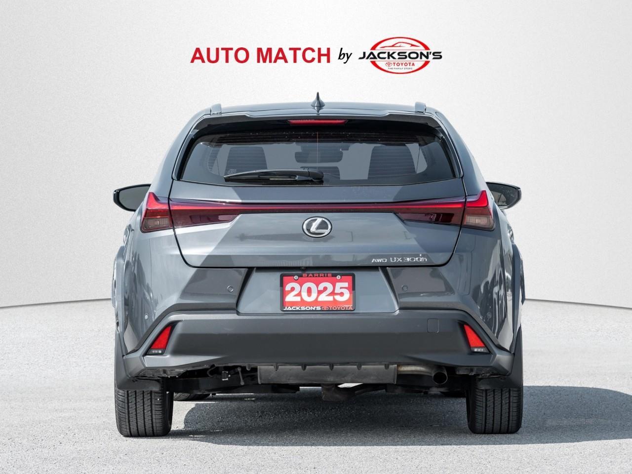 2025 Lexus UX 300H Base 4dr All-Wheel Drive Photo