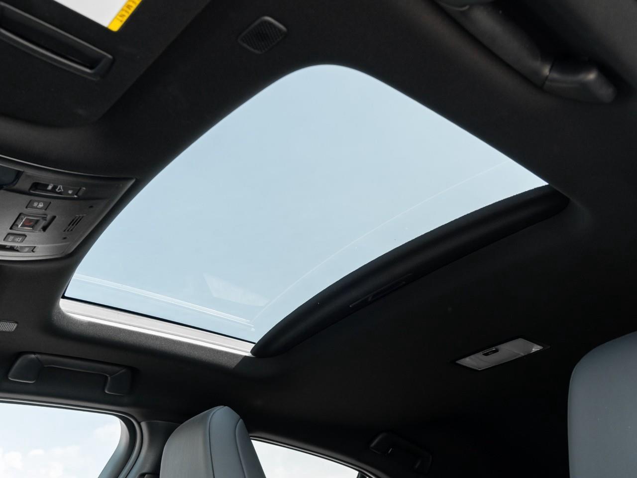 2025 Lexus UX 300H Base 4dr All-Wheel Drive Photo