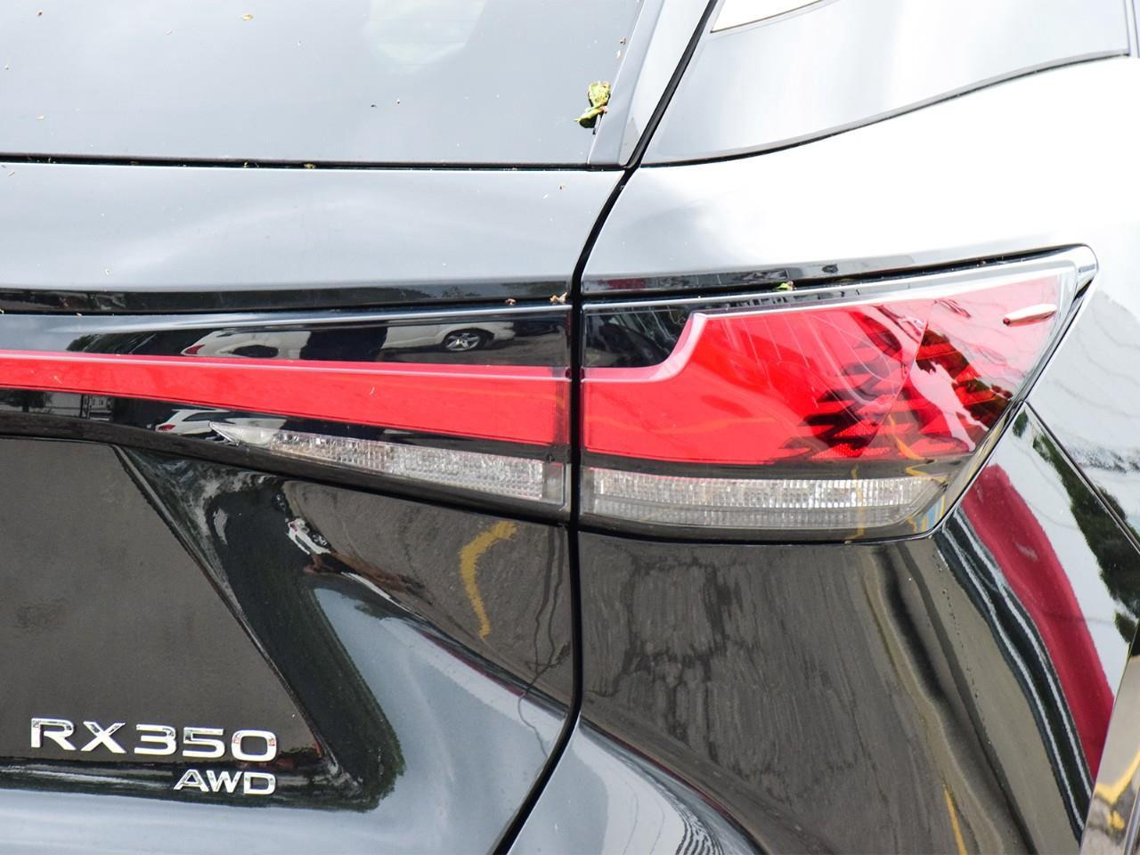 2024 Lexus RX 350 Base 4dr All-wheel Drive Photo