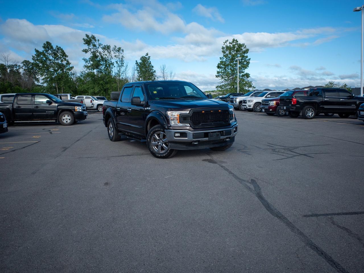 2018 Ford F-150 - Back-Up Camera   Tow Hooks Photo