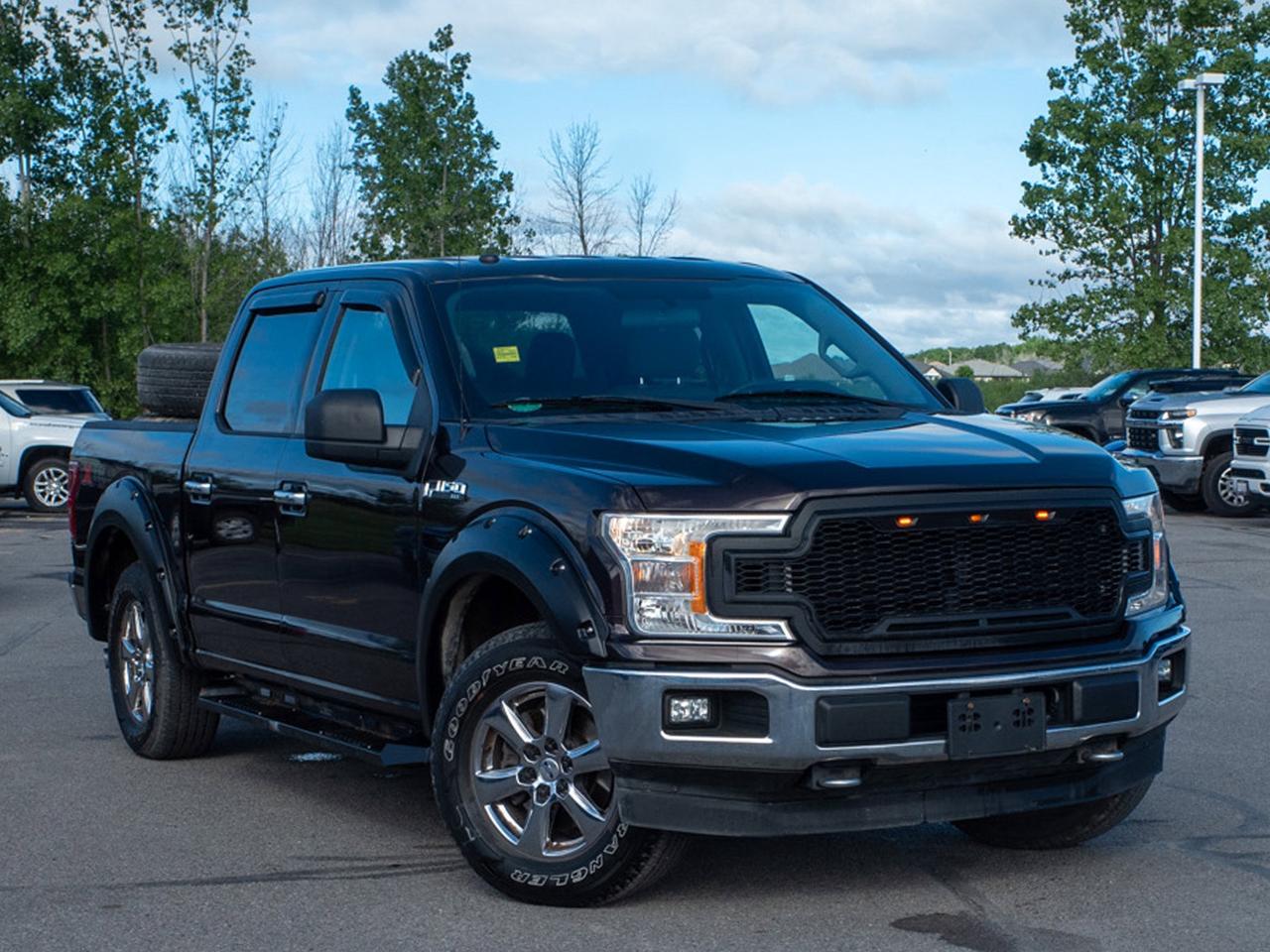 2018 Ford F-150 - Back-Up Camera   Tow Hooks Photo