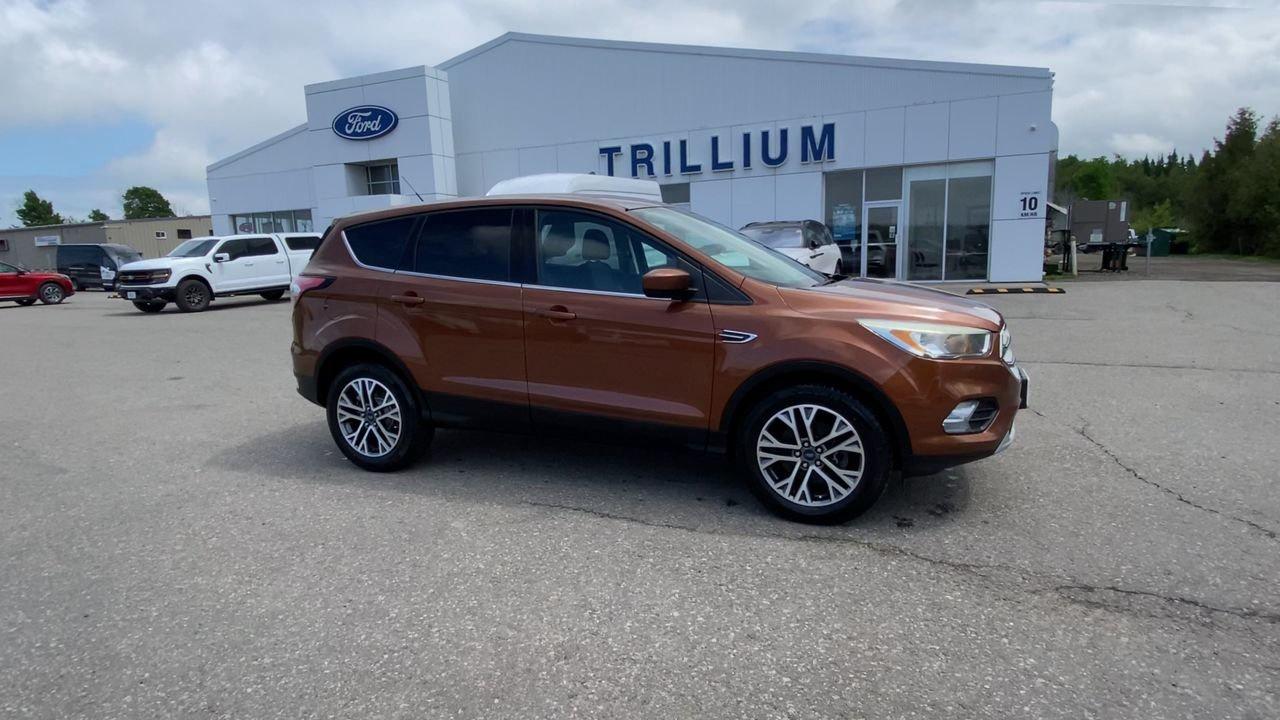 2017 Ford Escape SE Photo