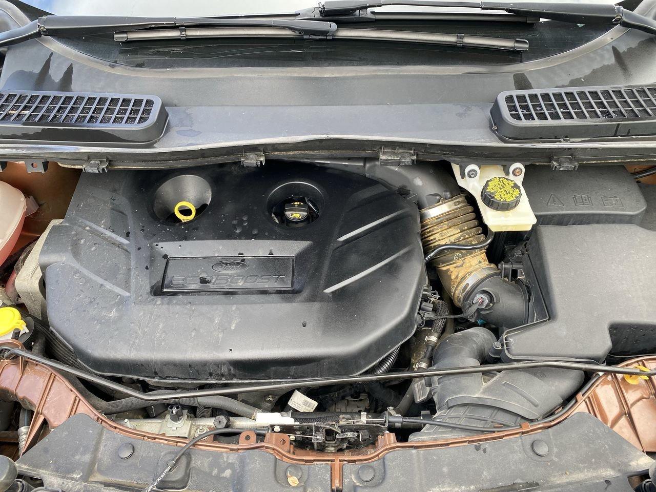 2017 Ford Escape SE Photo
