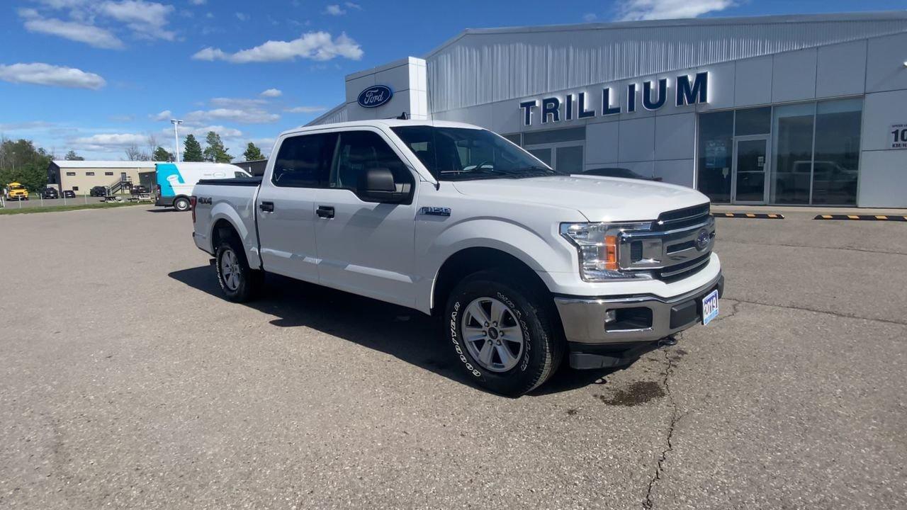 2019 Ford F-150 XLT Photo