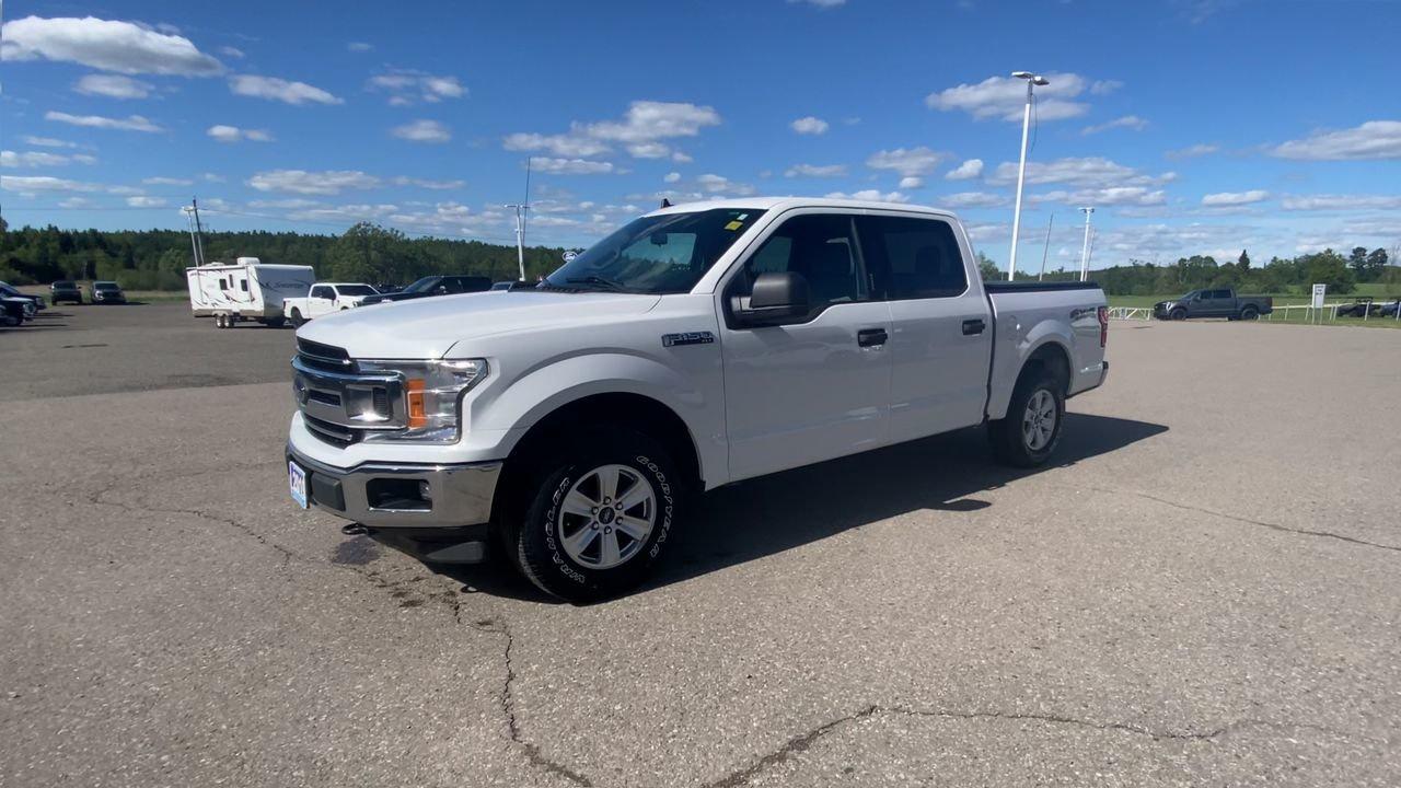 2019 Ford F-150 XLT Photo