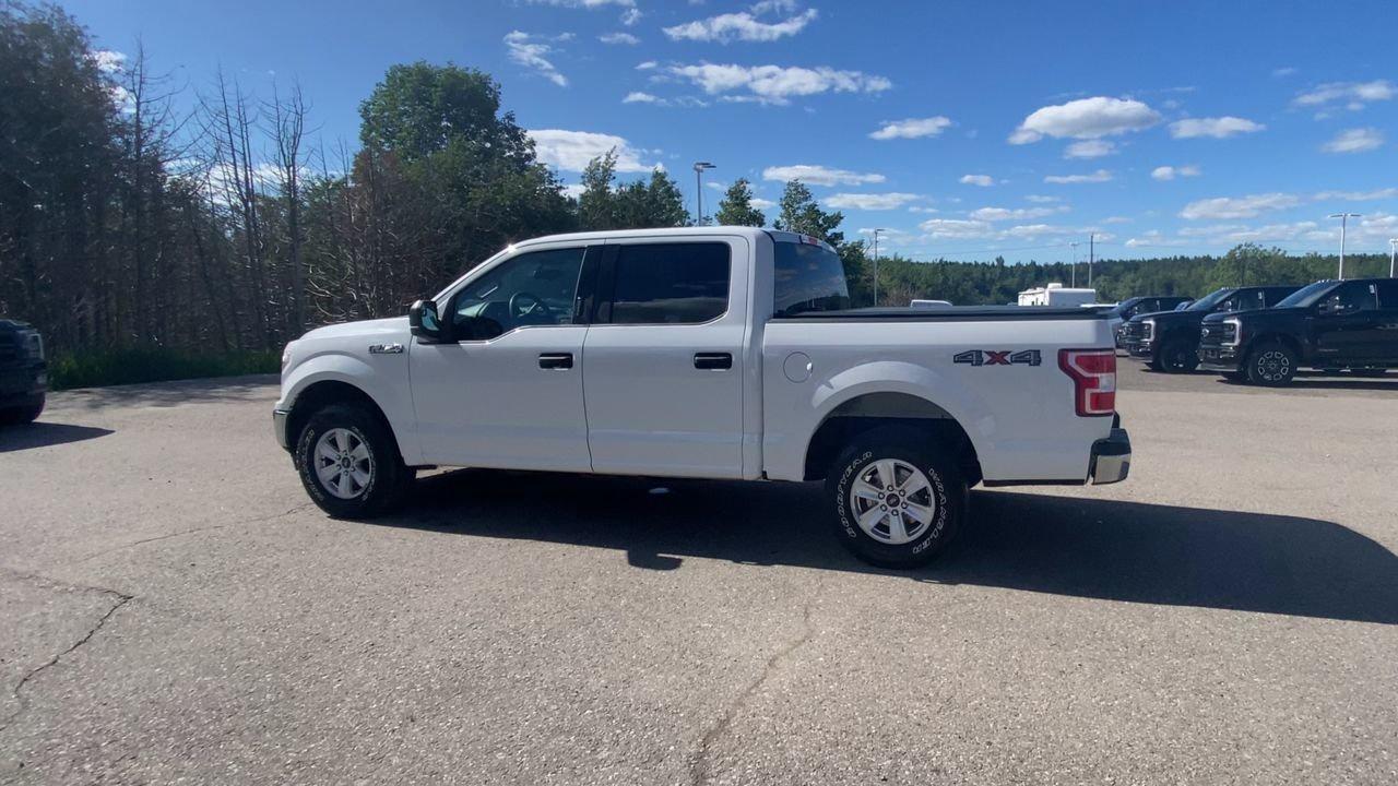 2019 Ford F-150 XLT Photo