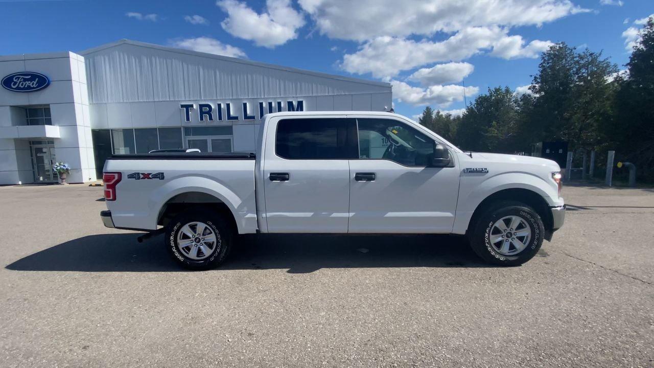 2019 Ford F-150 XLT Photo