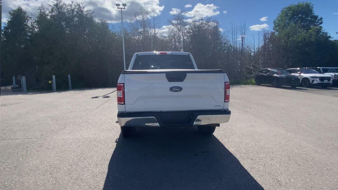 2019 Ford F-150 XLT Photo