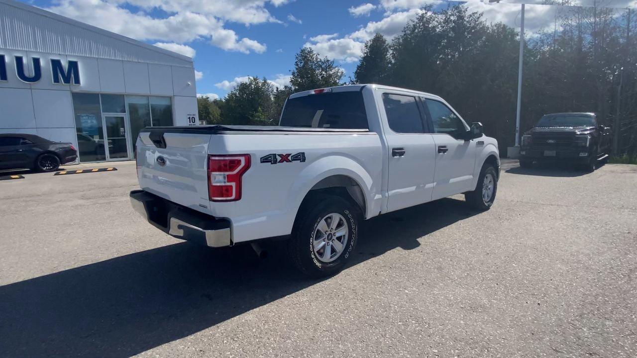 2019 Ford F-150 XLT Photo