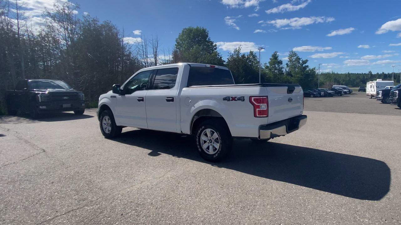 2019 Ford F-150 XLT Photo